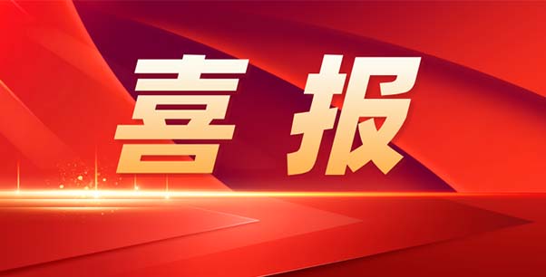 喜報(bào)！熱烈祝賀我司榮獲江蘇省“專精特新”企業(yè)稱號(hào)